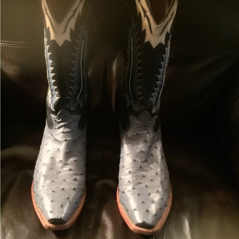 Tony Lama Blue and Brown Cowboy Western Boots